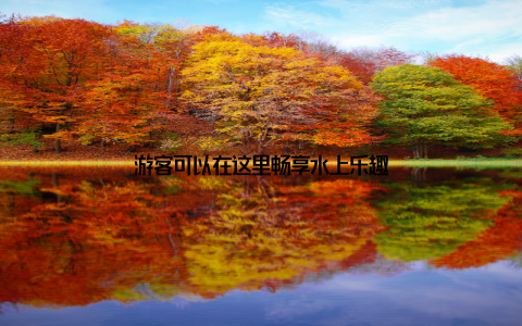 游客可以在这里畅享水上乐趣