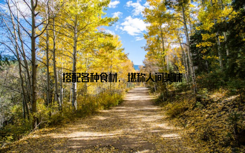 搭配各种食材, 堪称人间美味