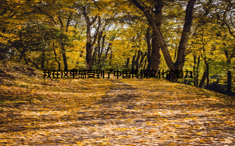 我在这里感受到了中国传统文化的魅力