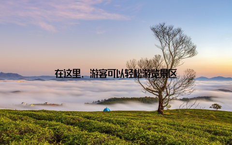 在这里, 游客可以轻松游览景区