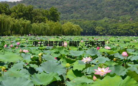 电子设备手机、相机、充电宝等