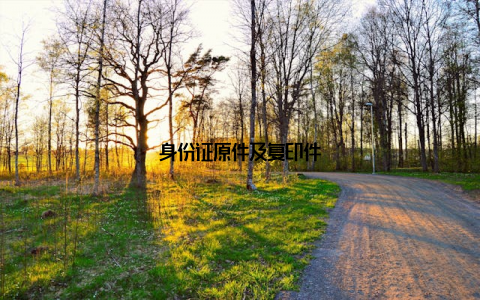 身份证原件及复印件