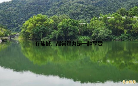 在盐城, 品尝鱼丸是一种享受