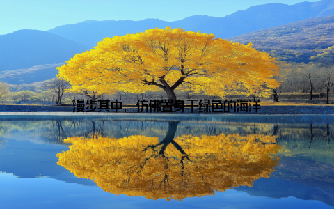 漫步其中, 仿佛置身于绿色的海洋