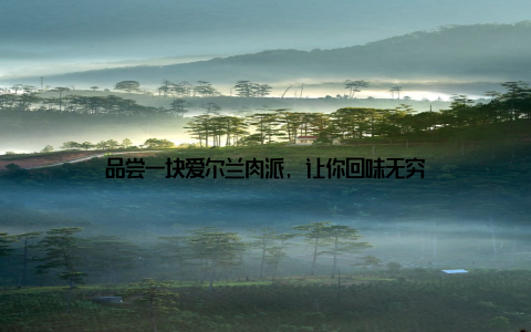 品尝一块爱尔兰肉派, 让你回味无穷