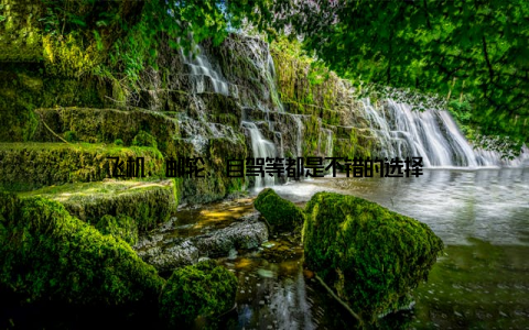 飞机、邮轮、自驾等都是不错的选择