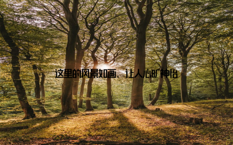 这里的风景如画, 让人心旷神怡