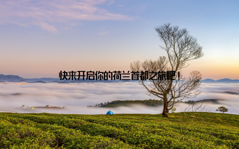 快来开启你的荷兰首都之旅吧!